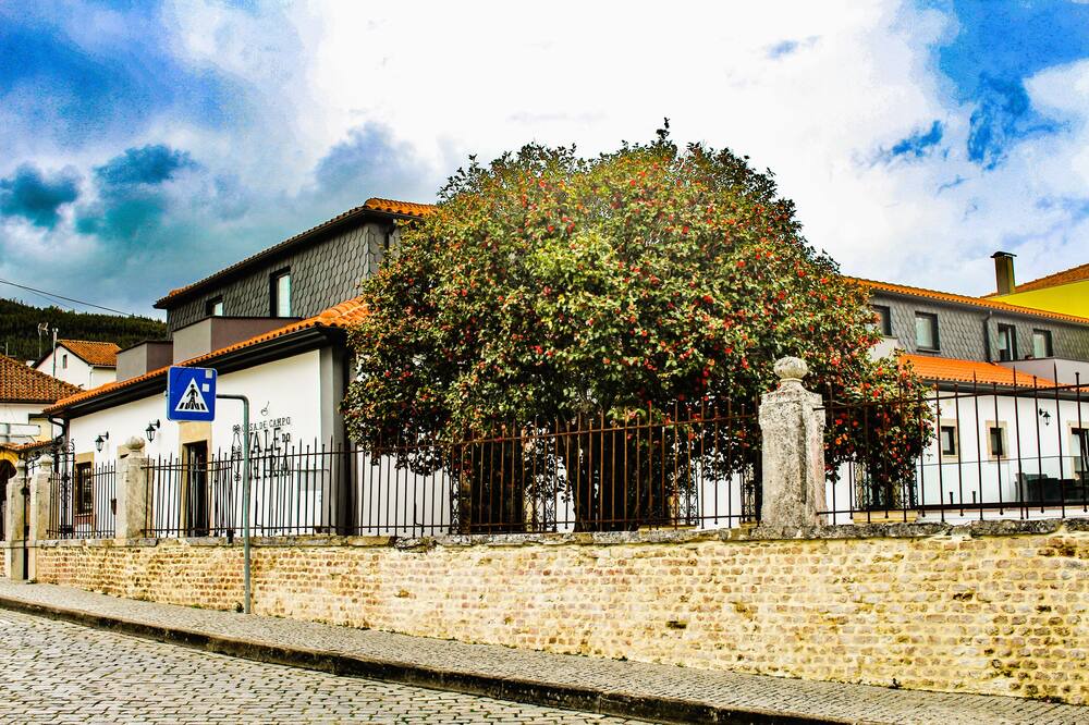 Photo of Outdoor in Gois