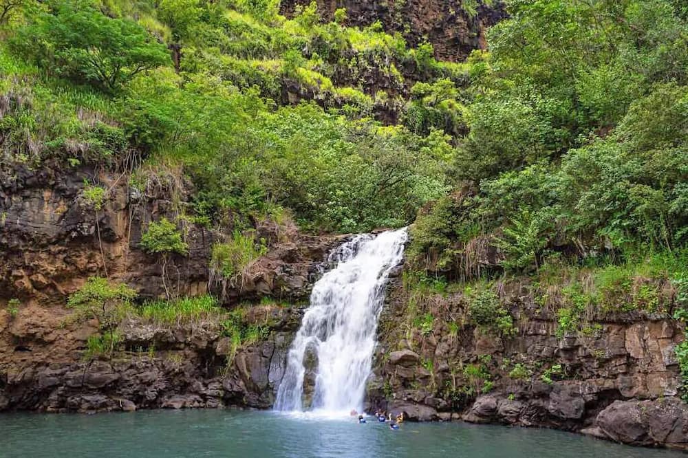 Photo of Outdoor in Mokuleia