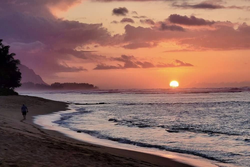 Photo of Others in Mokuleia