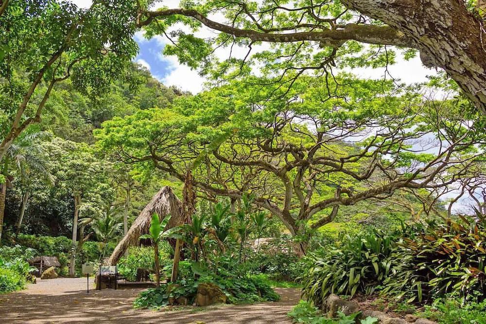 Photo of Outdoor in Mokuleia