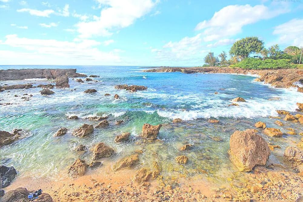 Photo of Others in Mokuleia