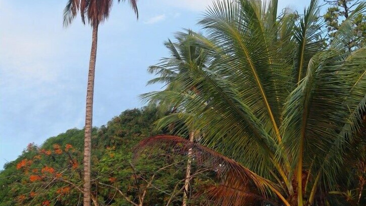 Photo of Outdoor in Palma