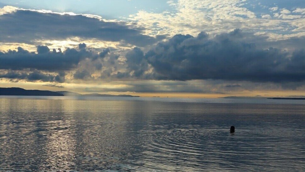 Photo of Outdoor in Palma