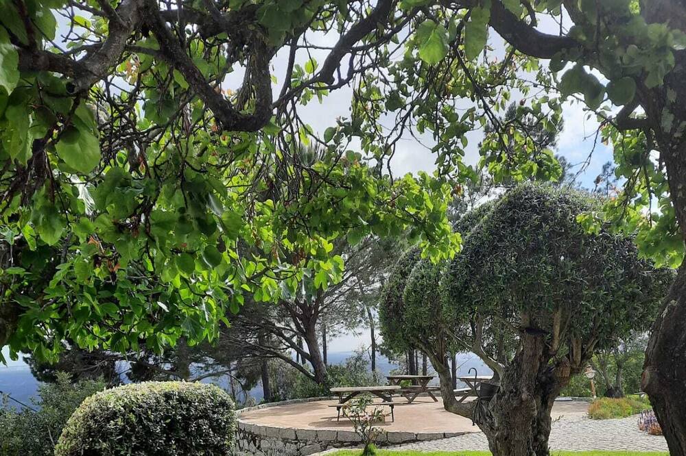 Photo of Outdoor in Barracao