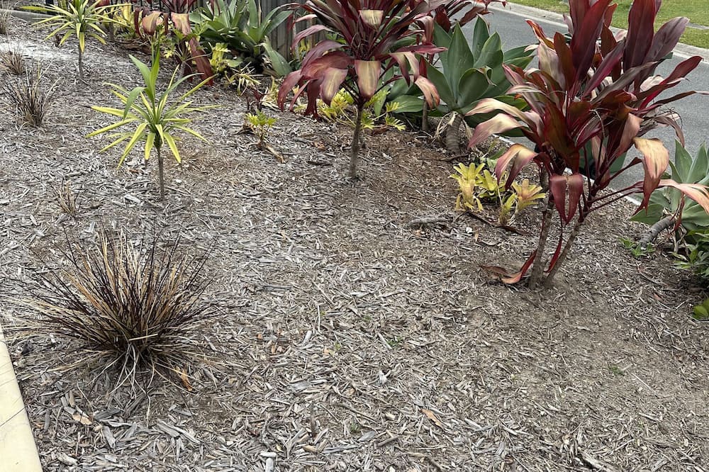 Photo of Outdoor in Upper Coomera