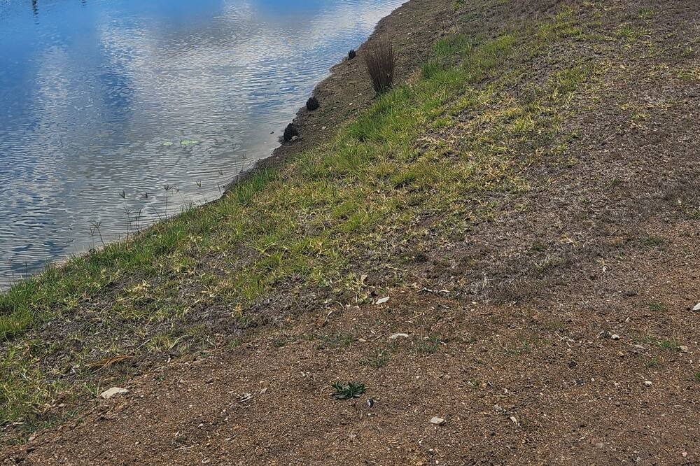 Photo of Others in Hazeldean