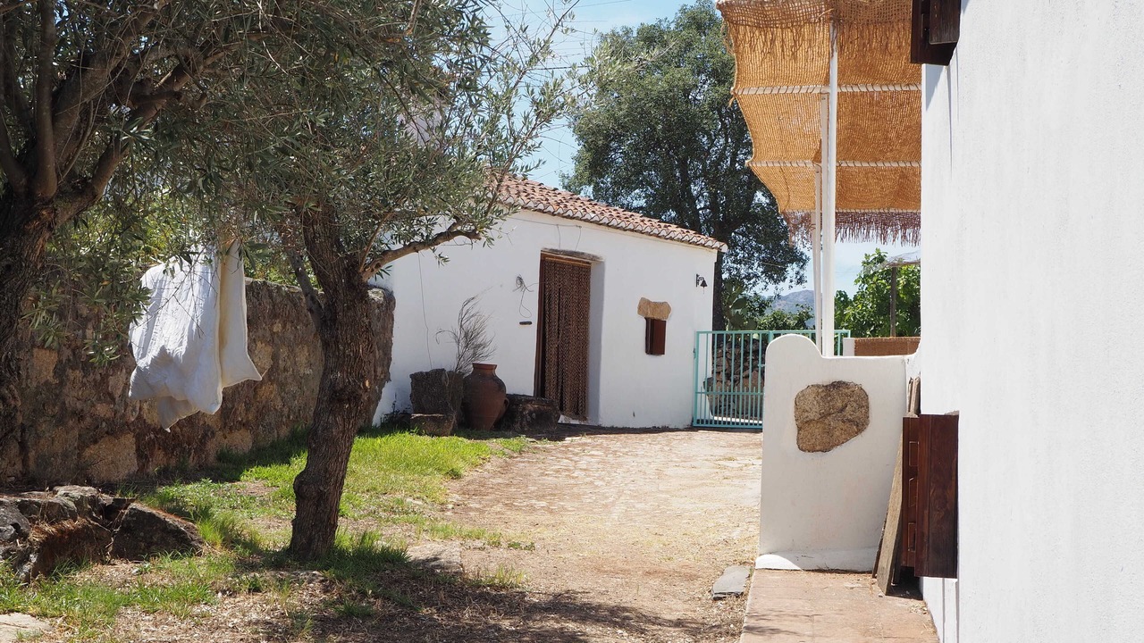 Photo of Outdoor in Barretos