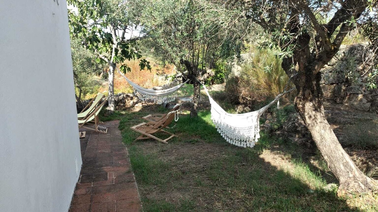 Photo of Outdoor in Barretos