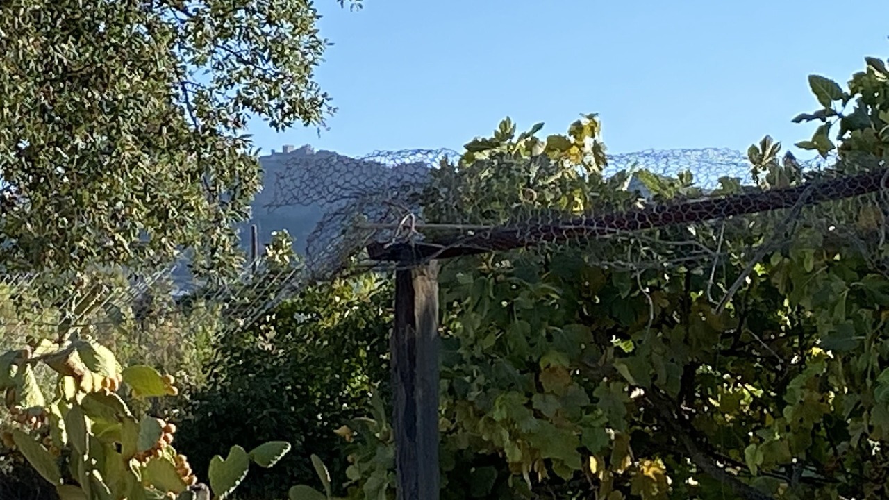 Photo of Outdoor in Barretos