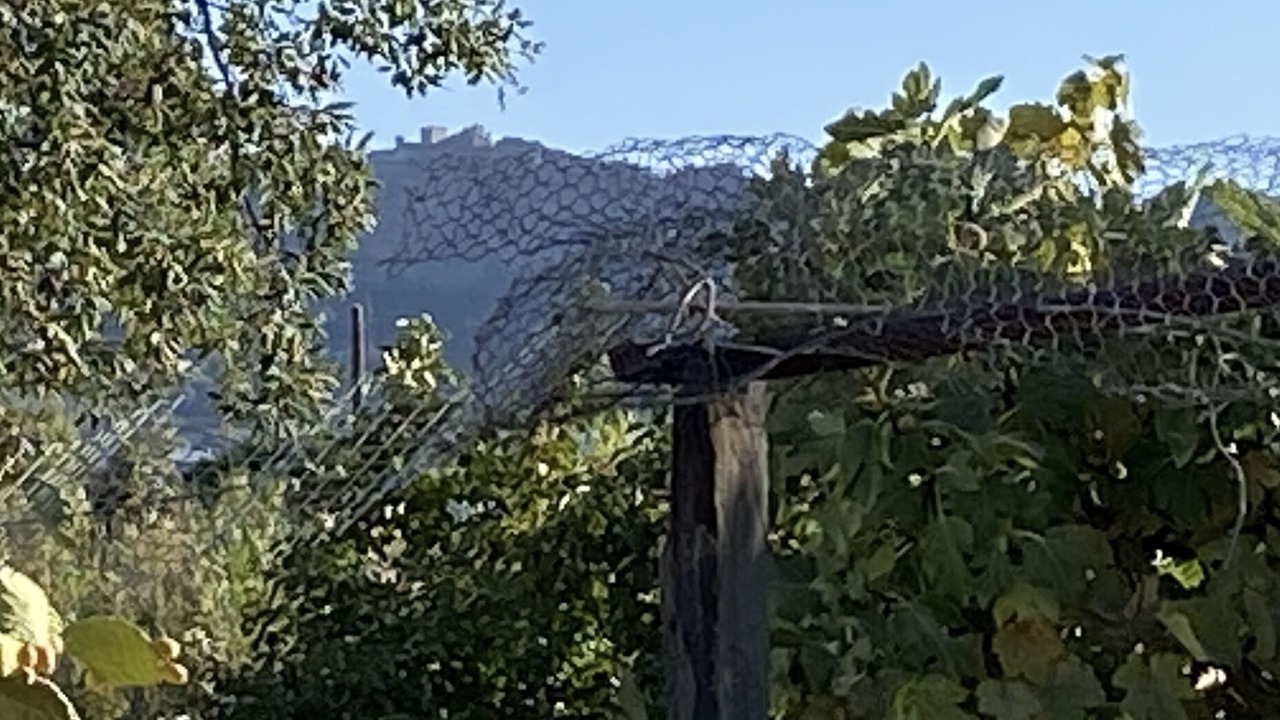 Photo of Outdoor in Barretos