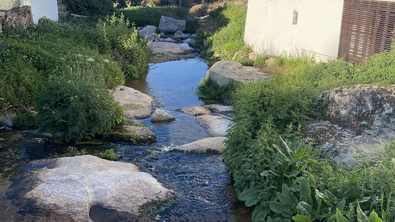 Photo of Outdoor in Barretos