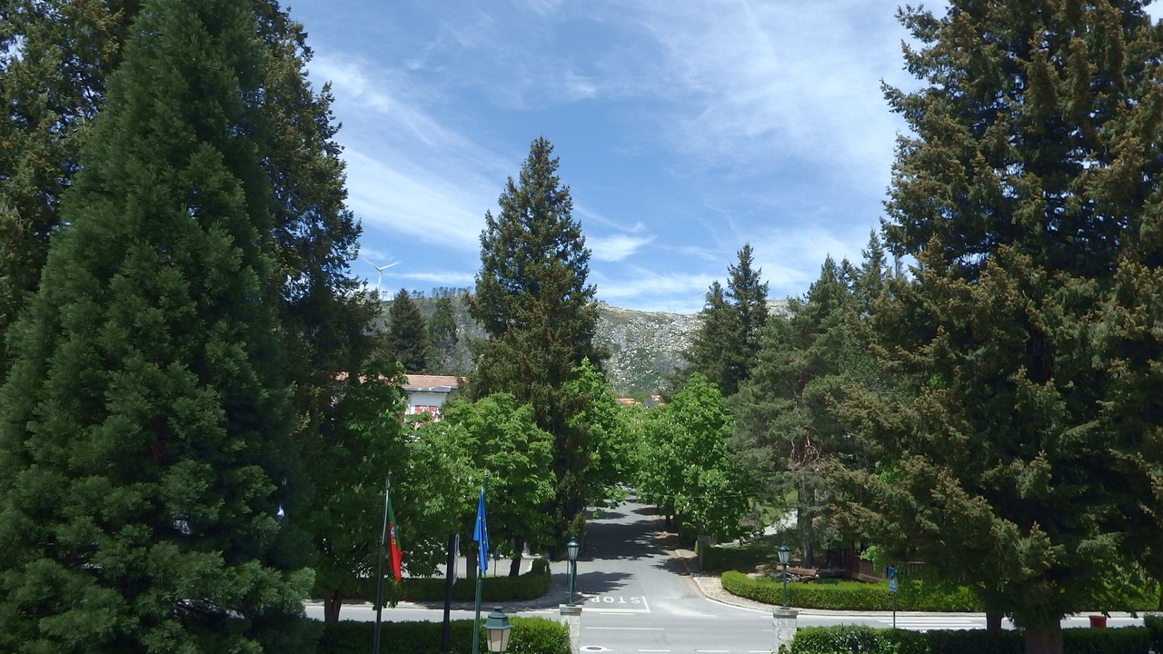 Photo of Others in Caramulo