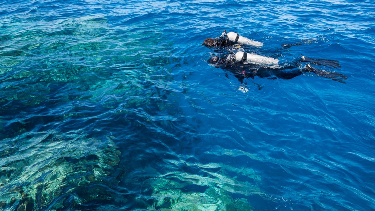 Photo of Others in Nukubati Island