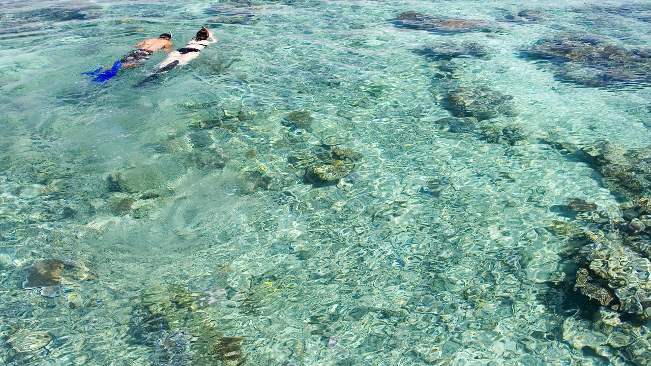 Photo of Outdoor in Nukubati Island