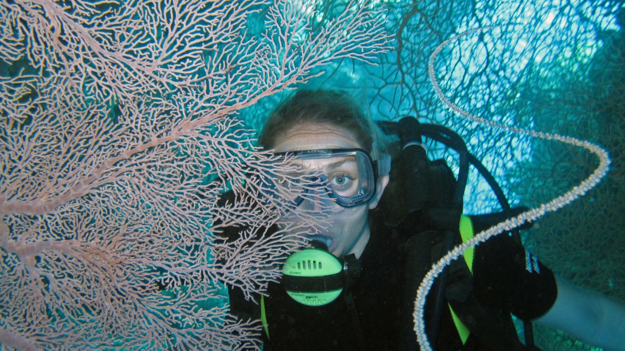 Photo of Others in Nukubati Island