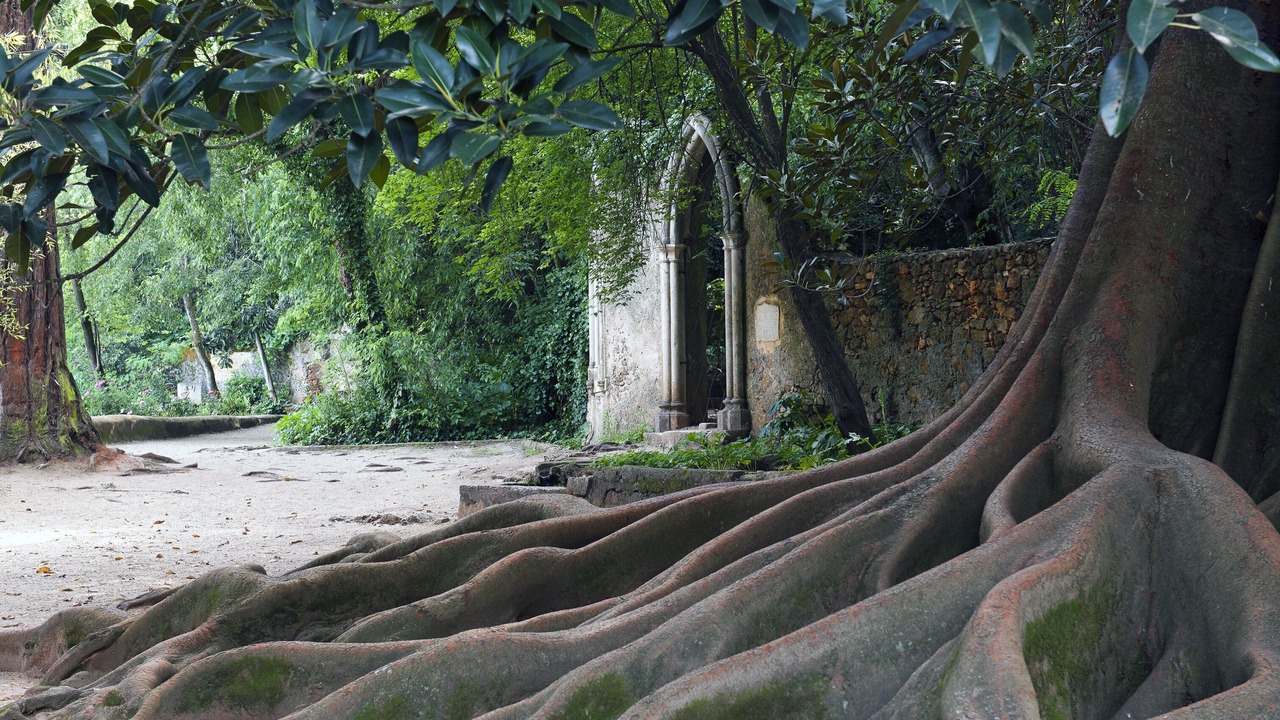 Photo of Outdoor in Coimbra