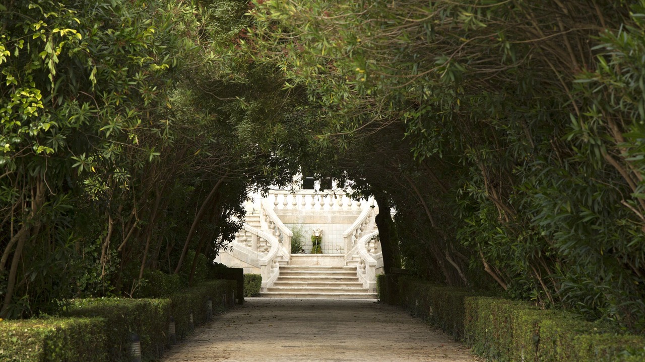 Photo of Outdoor in Coimbra