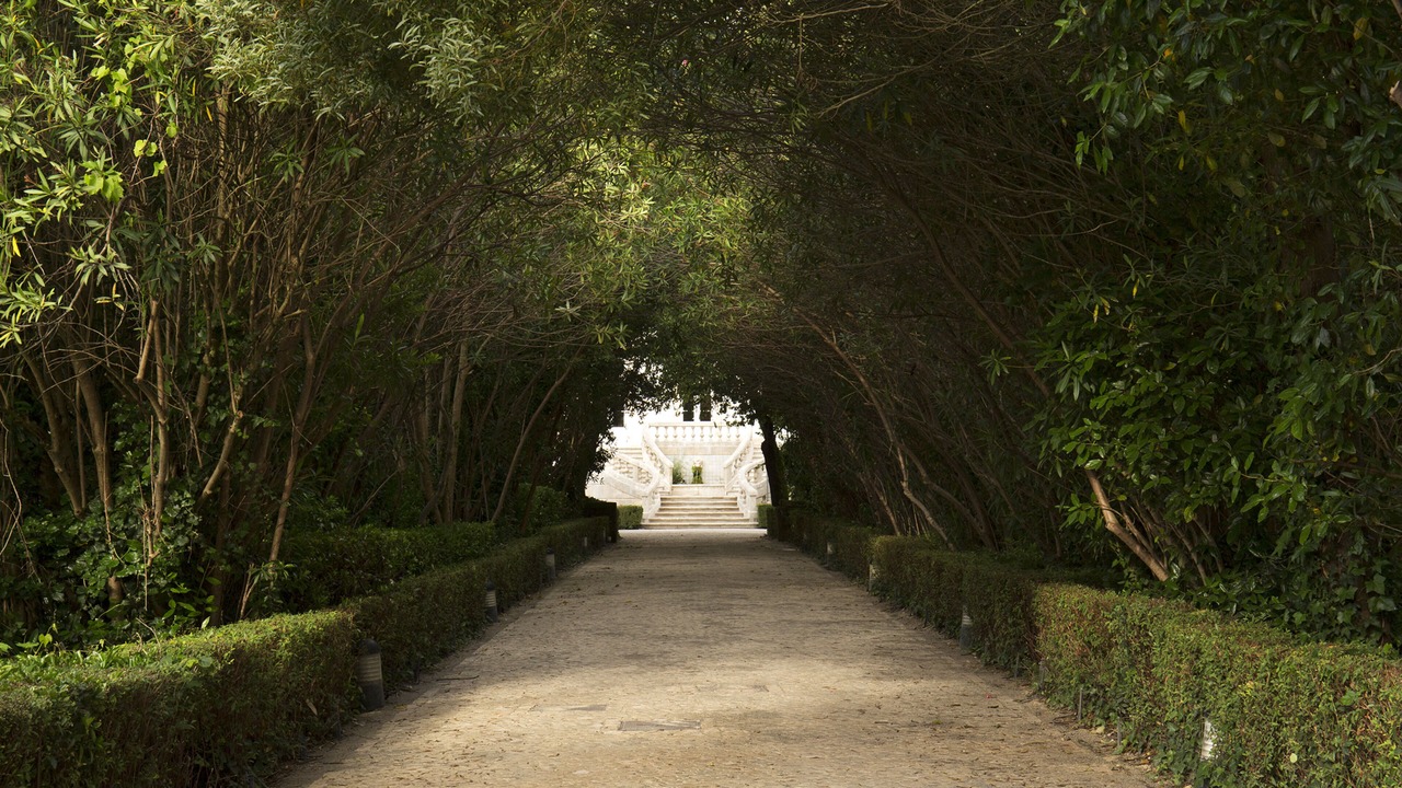 Photo of Outdoor in Coimbra