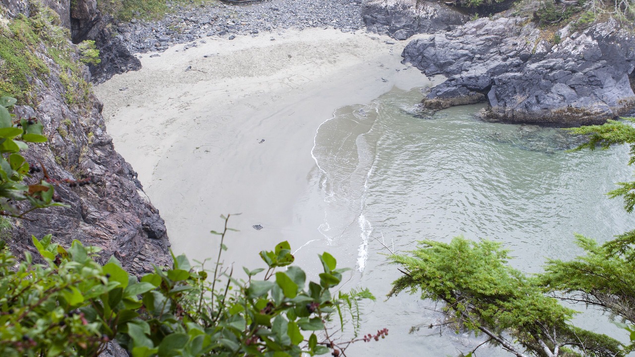 Photo of Others in Tofino