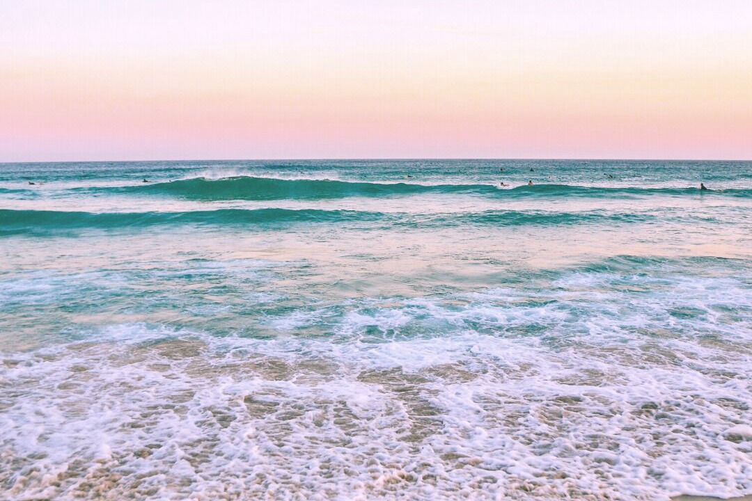 Photo of Others in Surfers Paradise