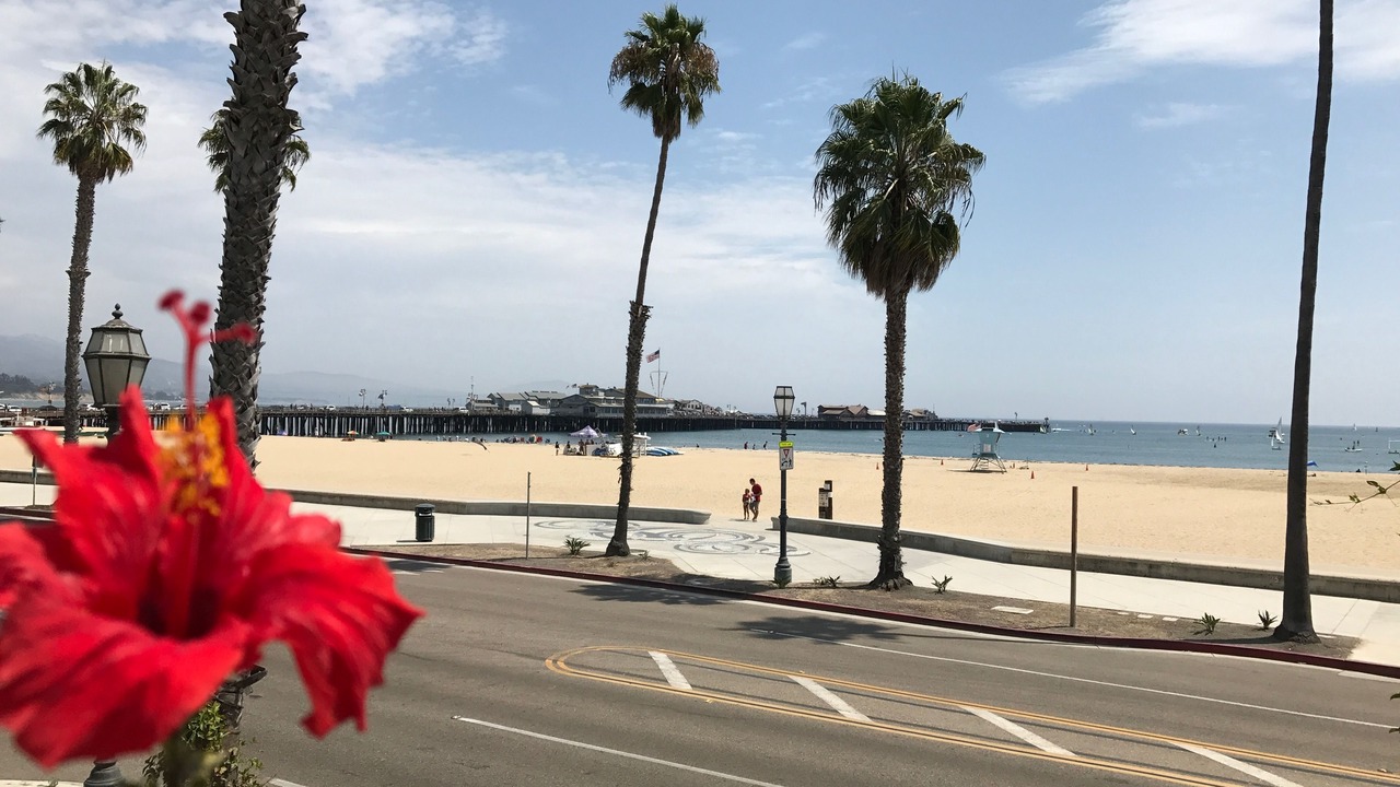 Photo of Others in West Beach