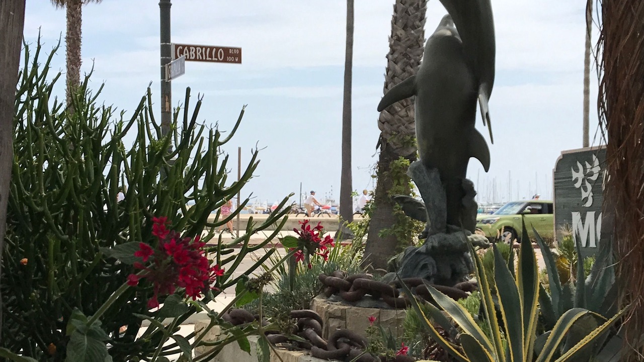 Photo of Outdoor in West Beach