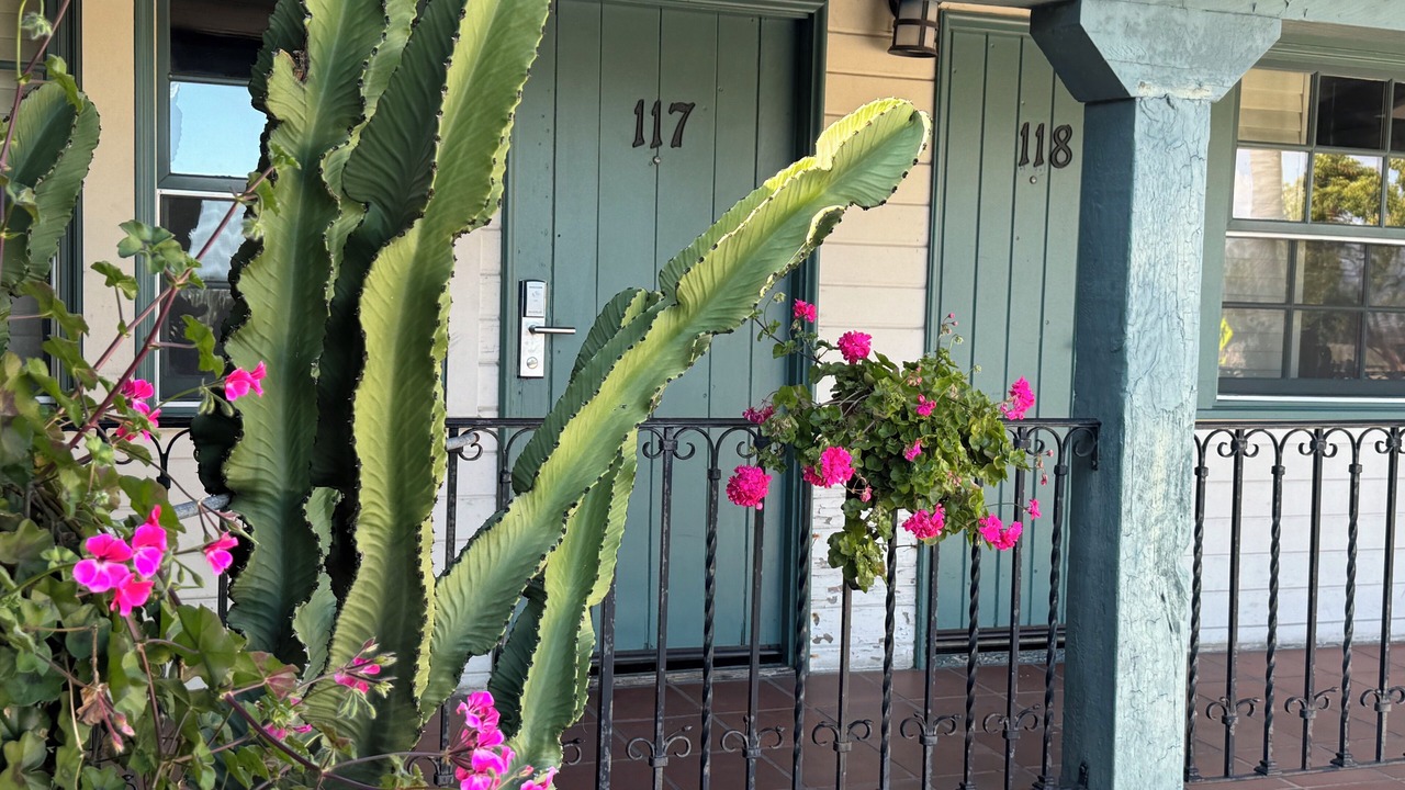 Photo of Outdoor in West Beach