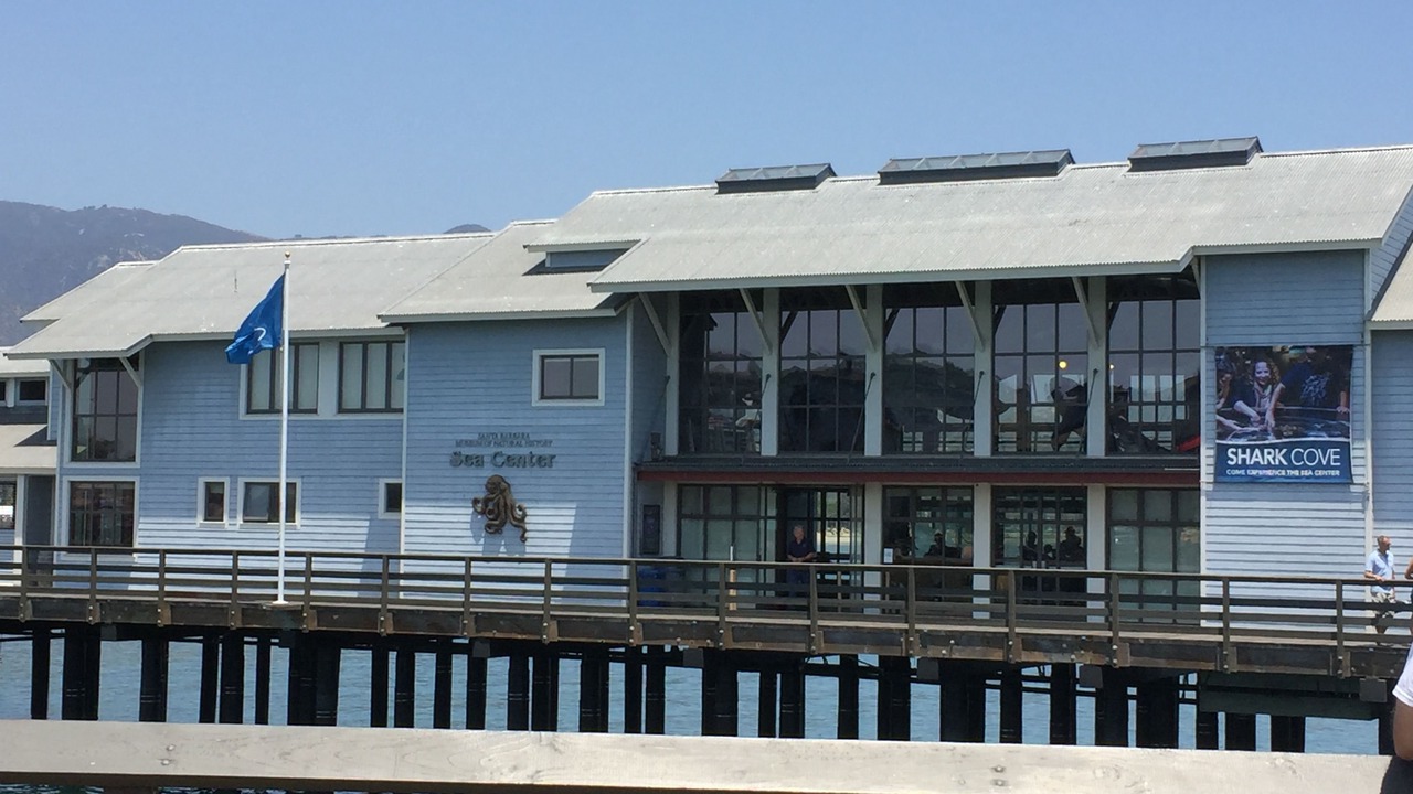 Photo of Others in West Beach