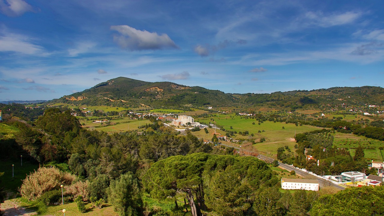 Photo of Others in Setubal