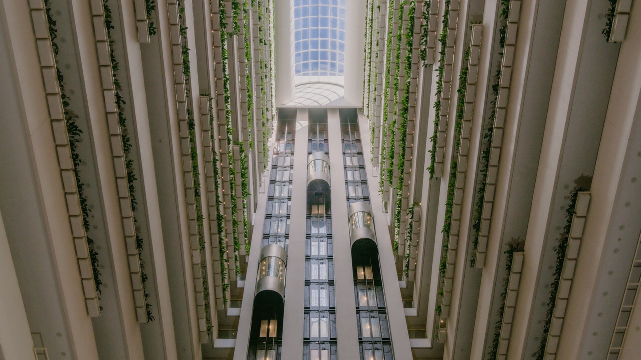 Photo of Outdoor in Brisbane Central Business District