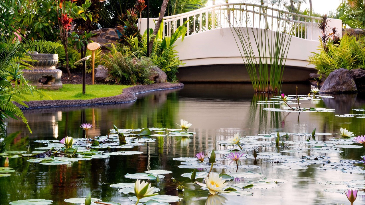 Photo of Outdoor in Wailea