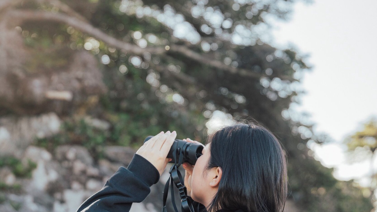 Photo of Others in Ucluelet