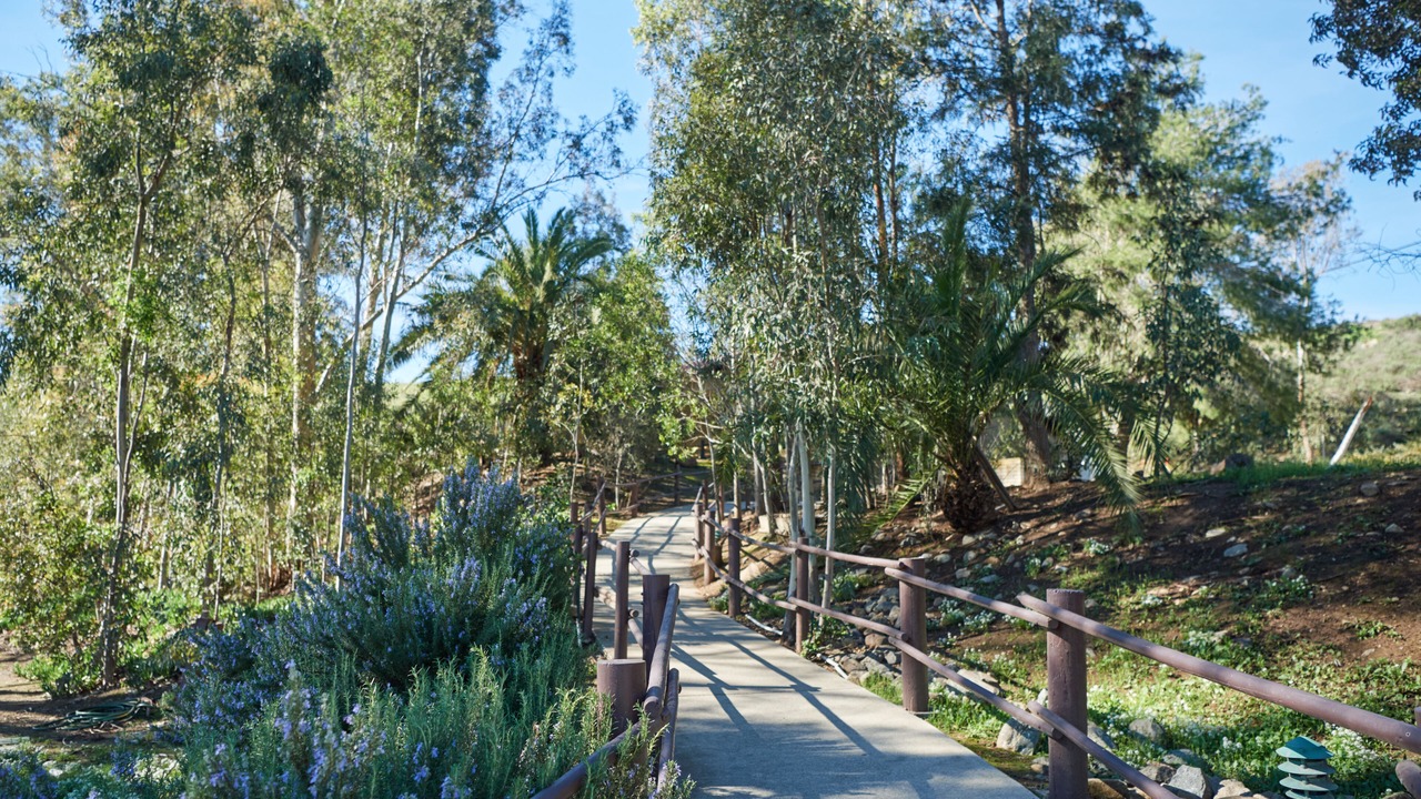Photo of Outdoor in Jamul