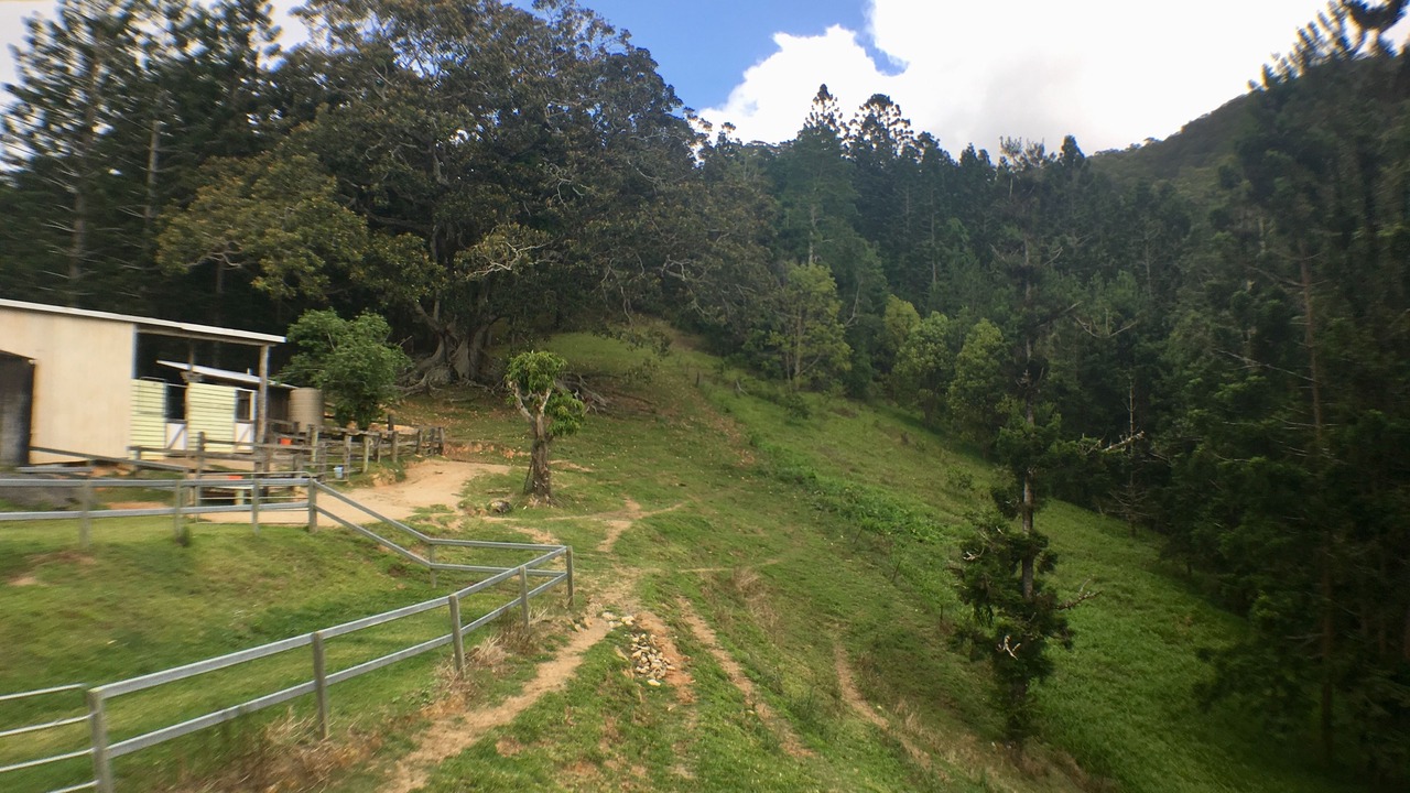Photo of Bedroom in Tallebudgera Valley