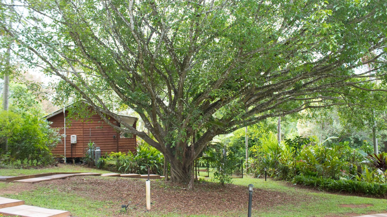 Photo of Outdoor in West Woombye