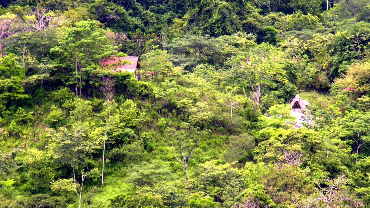 Photo of Outdoor in Dominicas