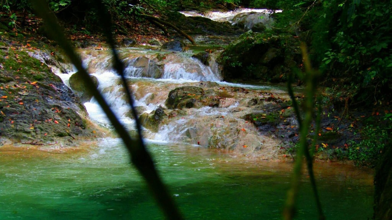 Photo of Outdoor in Dominicas