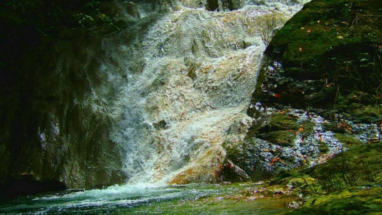 Photo of Outdoor in Dominicas