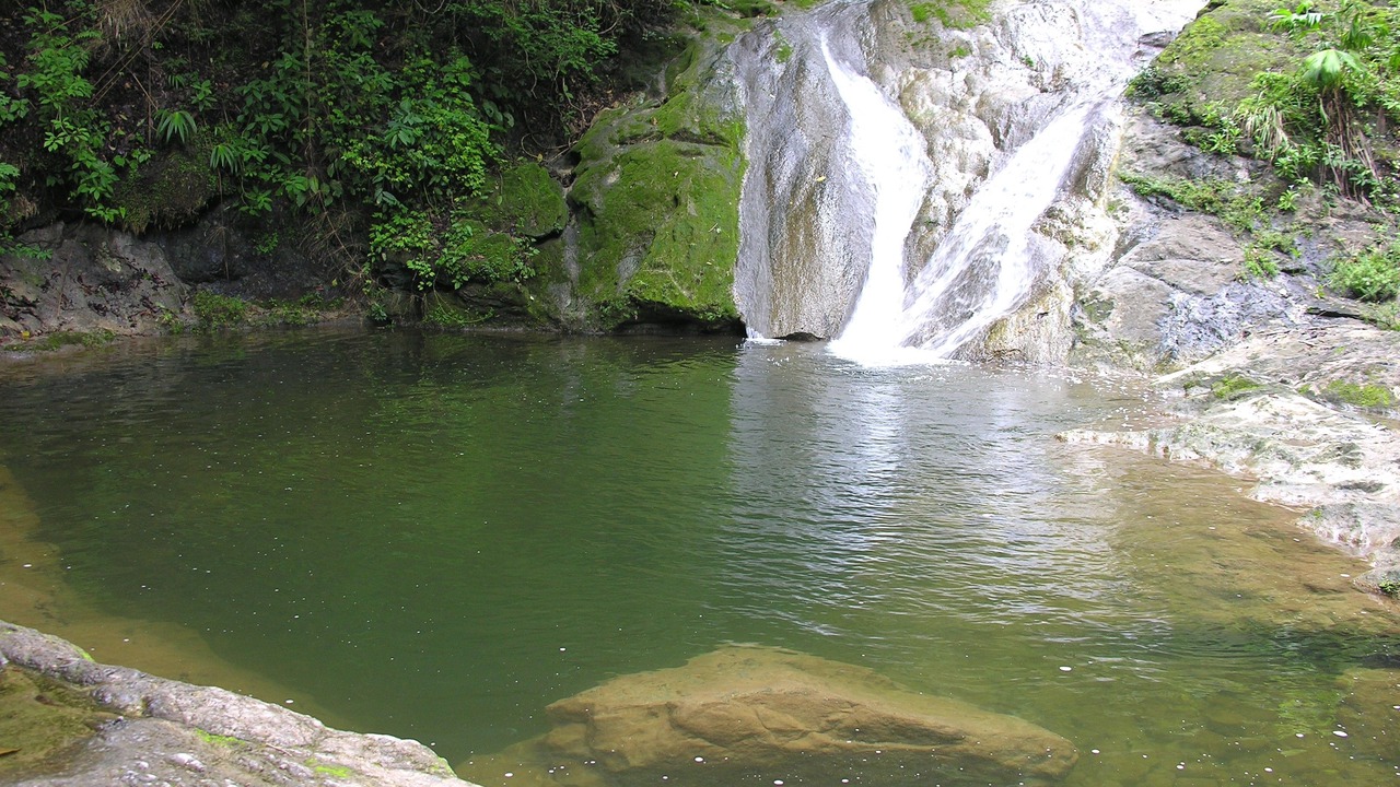 Photo of Others in Dominicas