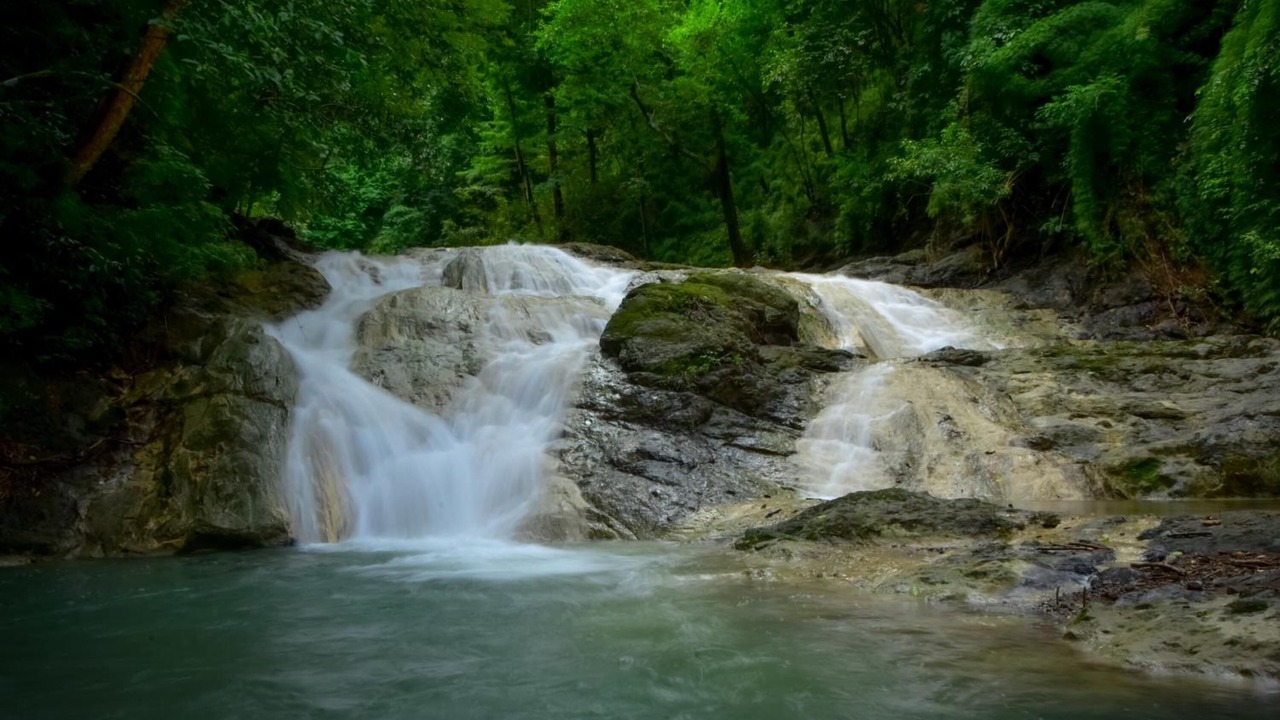 Photo of Outdoor in Dominicas