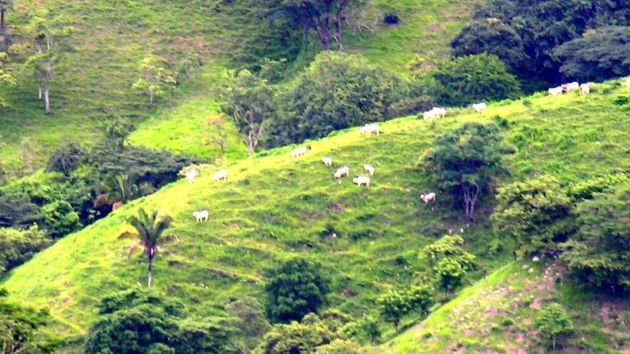 Photo of Outdoor in Dominicas
