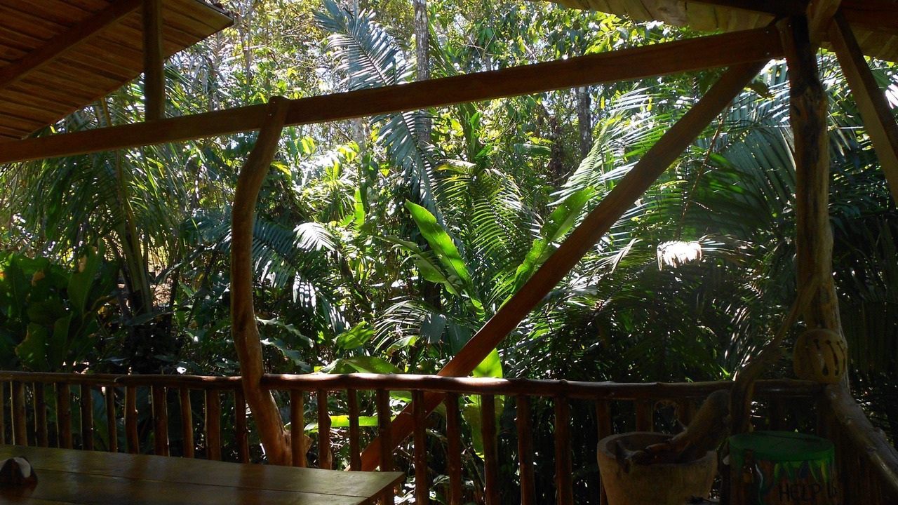 Photo of Outdoor in Dominicas