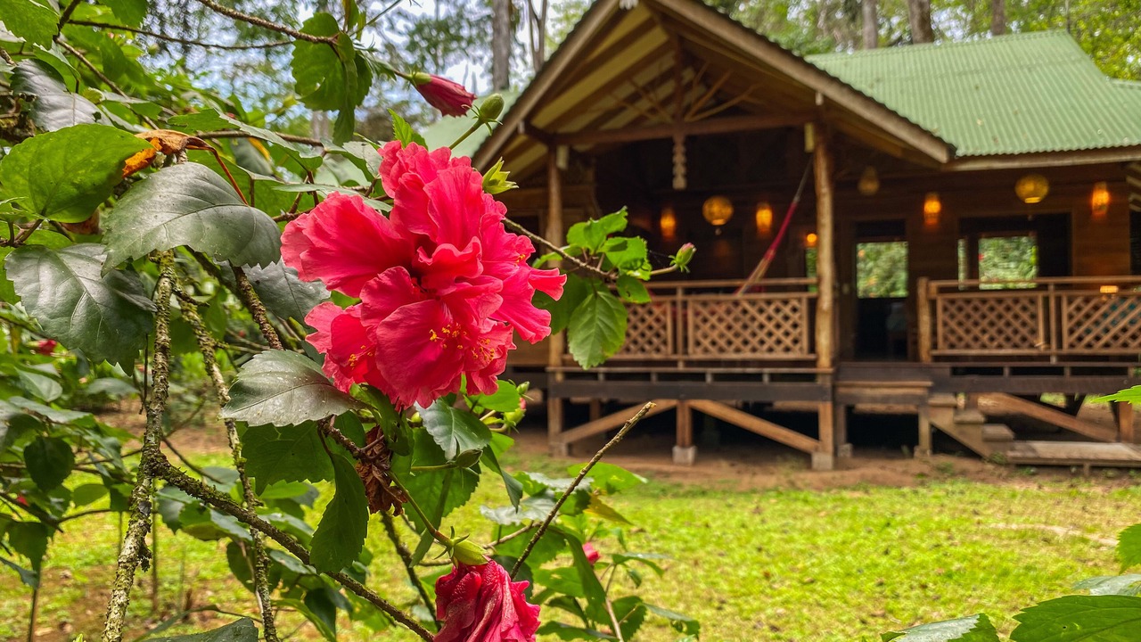 Photo of Outdoor in Cocles