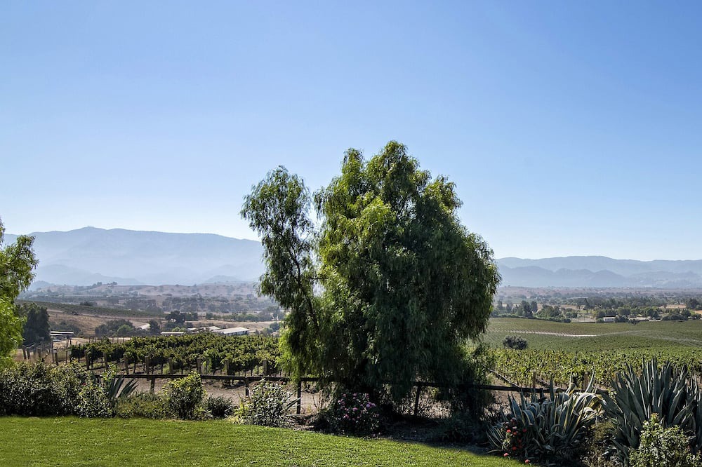 Photo of Outdoor in Santa Ynez