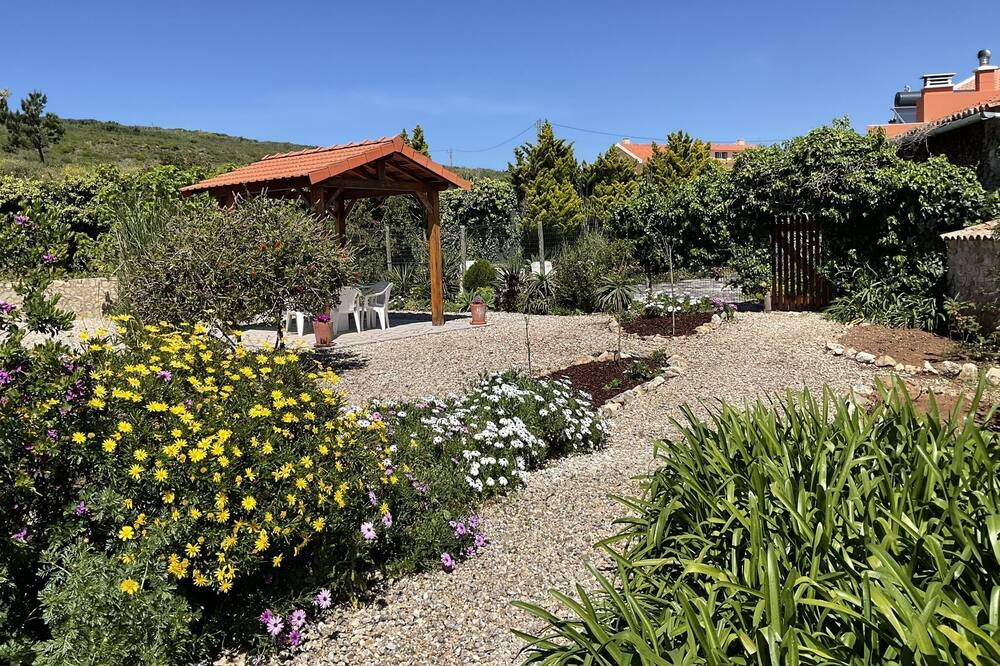 Photo of Outdoor in Sao Martinho do Porto
