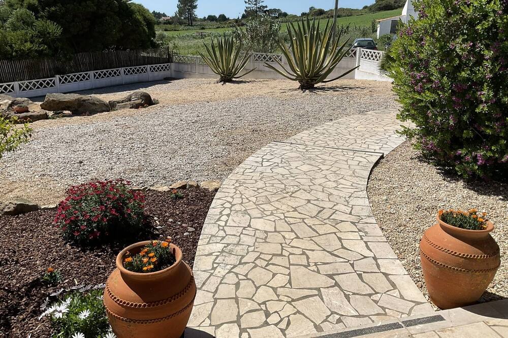Photo of Outdoor in Sao Martinho do Porto