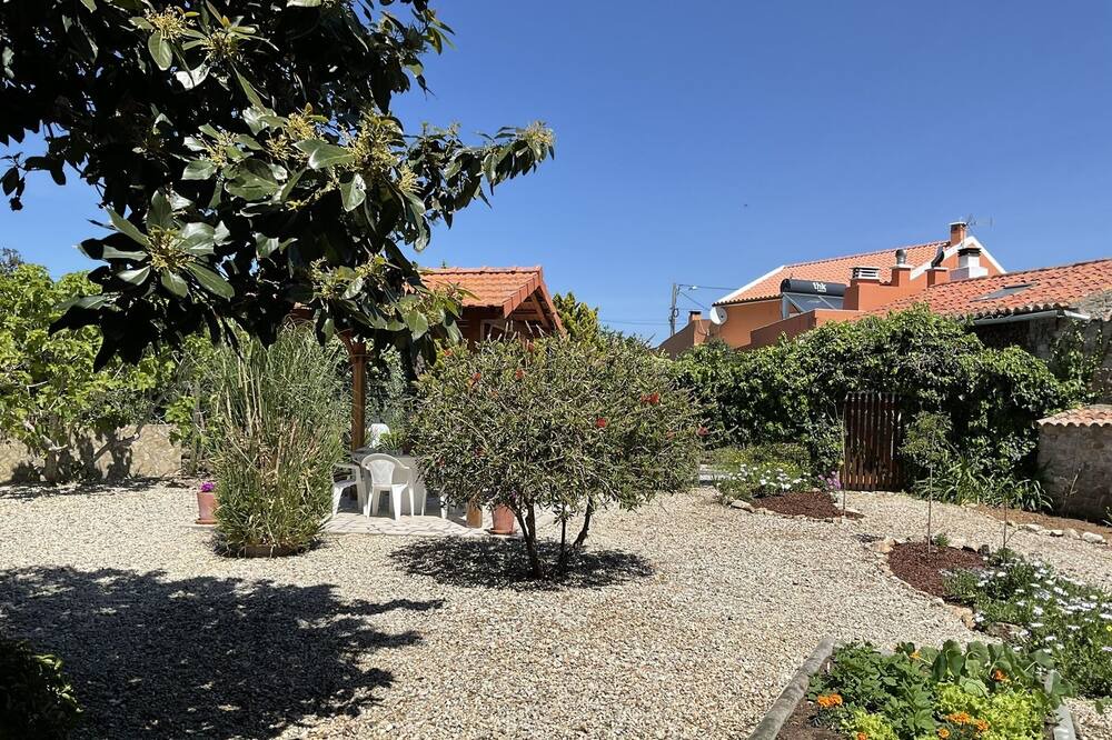 Photo of Outdoor in Sao Martinho do Porto