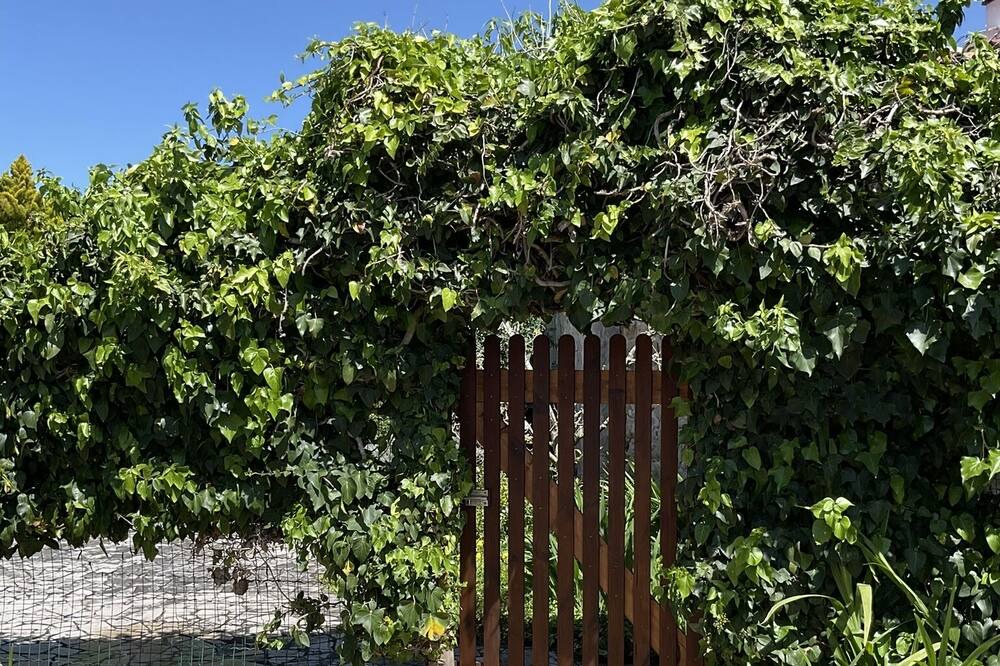 Photo of Outdoor in Sao Martinho do Porto