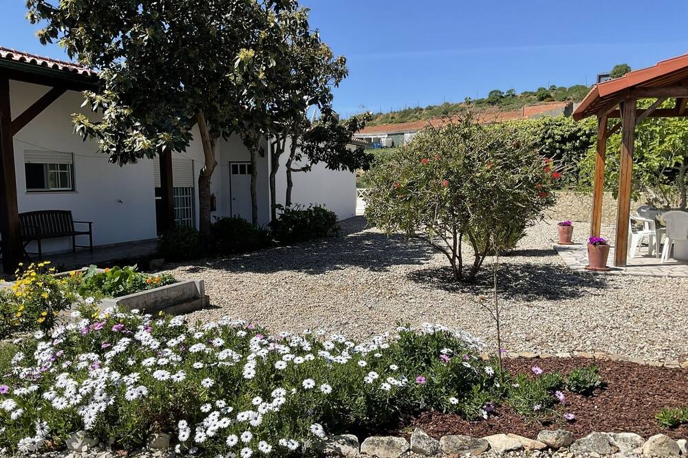 Photo of Outdoor in Sao Martinho do Porto