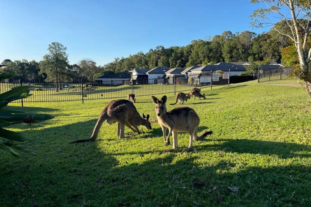 Photo of Outdoor in Coombabah
